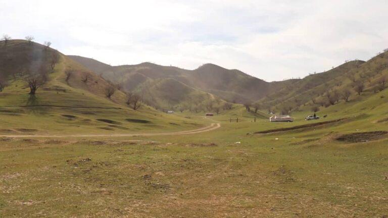 د بادغیس کرنې ریاست: خلک دې د پستې ونو خاښونو له پرې کولو ډډه وکړي