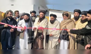 ننګرهار کې د ۱،۷ میلیون ډالرو په لګښت د چرګانو د توليد یو لوی فارم جوړ شو
