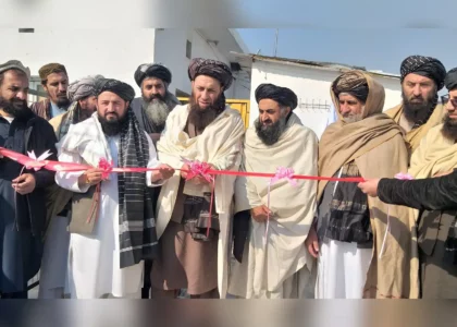 Large poultry production farm built in Nangarhar