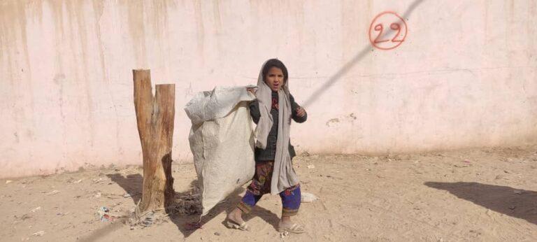 Nimroz Junk scavenger girl seeks govt’s support to get education