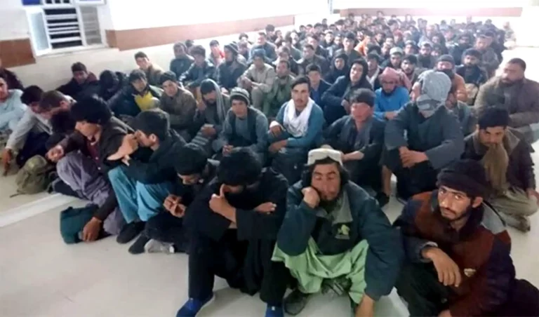 Over 2,000 illegal refugees arrested in border areas: Iran