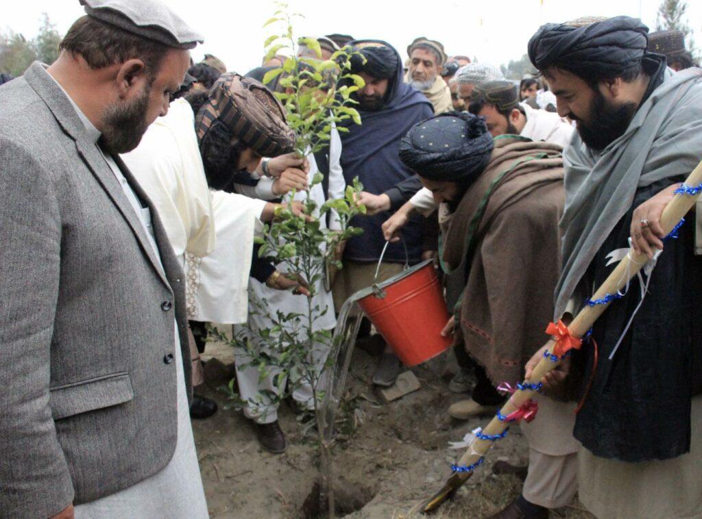 د جلال‌اباد ښار د ښکلا په موخه ۱۵زره زینتي بوټي اېښودل کېږي