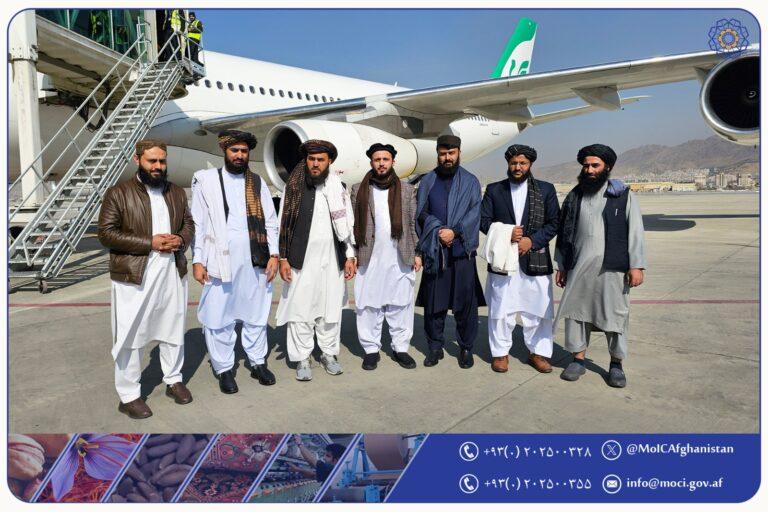 IEA technical delegation in Iran to build on Baradar’s visit