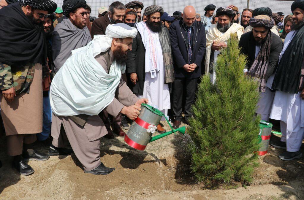 2 million trees to be planted in Kabul city in spring