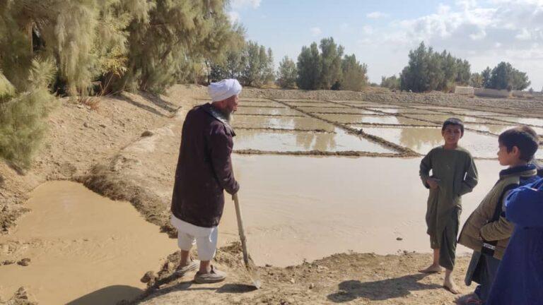 برخی دهاقین در نیمروز: با توجه به بارنده‌گی‌های اخیر امیدواریم سال آینده حاصلات خوبی بدست آوریم