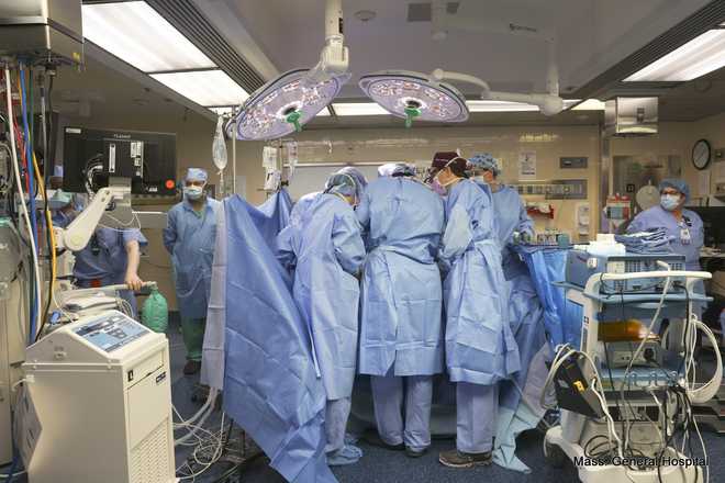 First pig-to-human kidney transplant performed in US