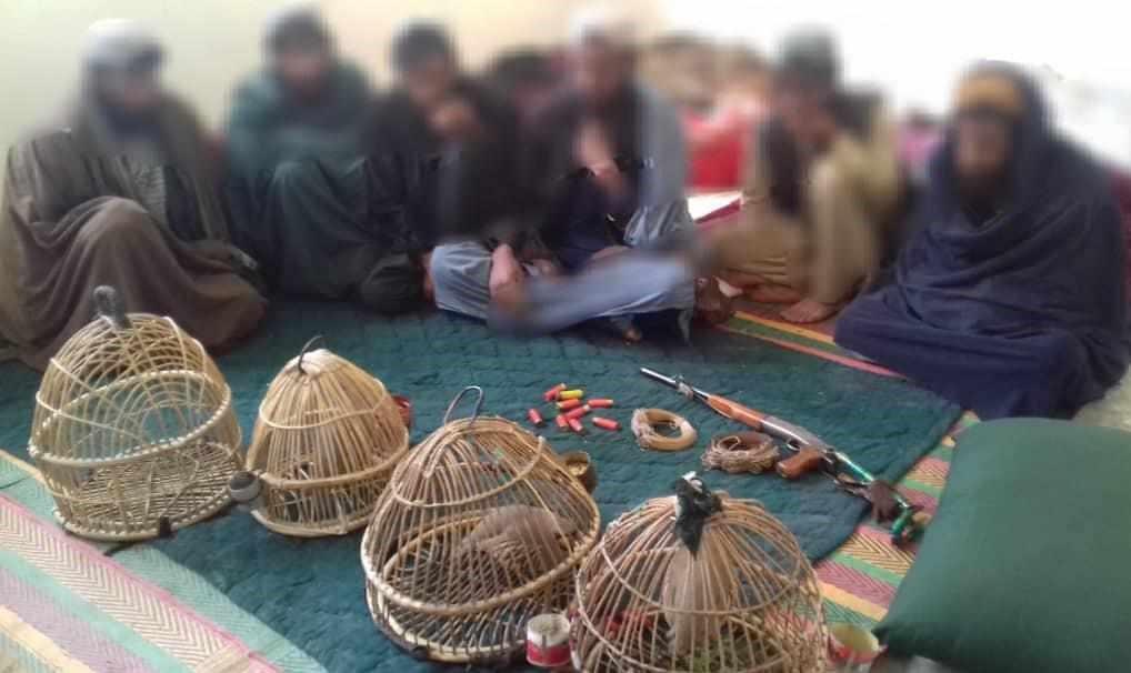 6 persons illegally hunting birds arrested in Uruzgan