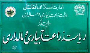 د کرنې ریاست: لوګر کې ۲۳۵ زره څاروي د تلف کېدو ‎له ګواښ سره مخ دي