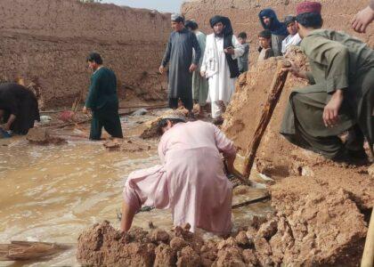 50 homes, shops damaged by recent rainfall in Uruzgan