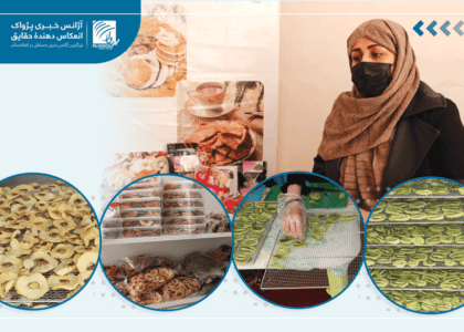 صادقه خانم متشبث در هرات: برای حمایت از تاجران کوچک از تولیدات داخلی استفاده شود