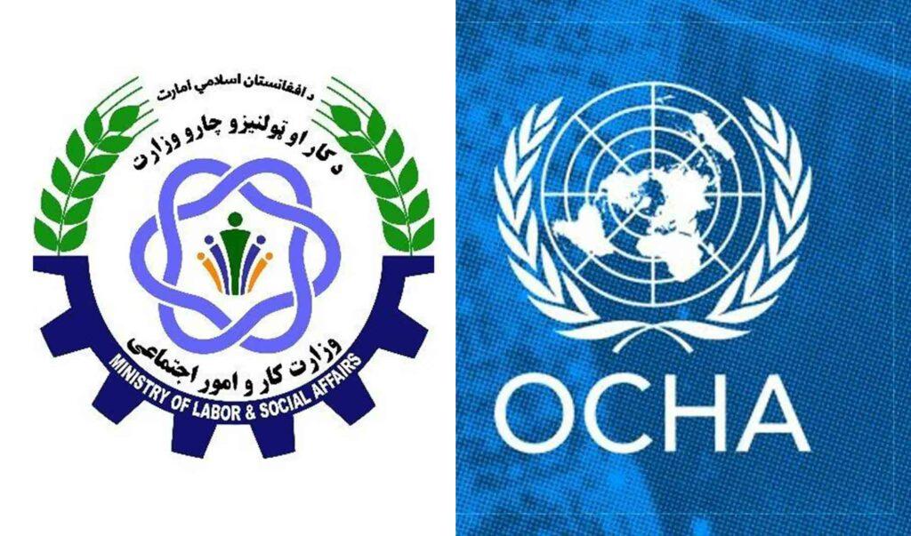 19pc children in Afghanistan engaged in child labour: OCHA