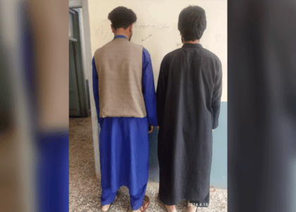 Woman among 3 detained on murder charges in Herat