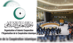 OIC regrets UNSC failure to grant Palestine full UN membership