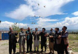 Hundreds of birds released back into the wild in Parwan