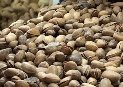 Pistachios prices 40 percent up in Balkh this year