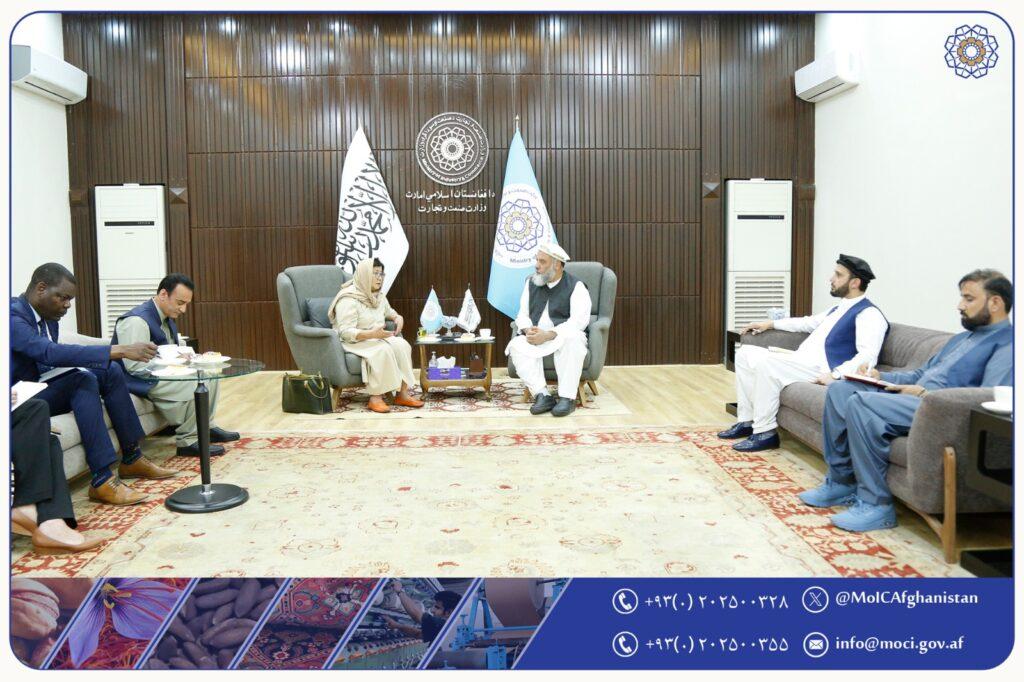 عزیزی با رئیس یوناما در مورد عضویت دوبارۀ افغانستان در سازمان تجارت جهانی گفتگو کرد