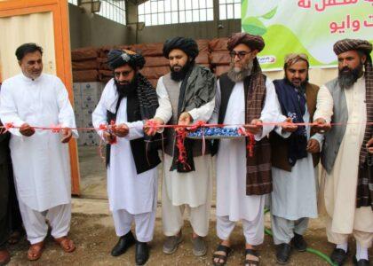 Largest chemical fertilizer producing plant opens in Herat