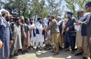 Kabul Municipality distributes 10,000 Judas saplings