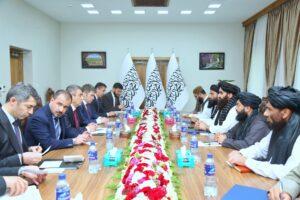 Relax visa process for Afghans, Muttaqi urges Turkish delegation