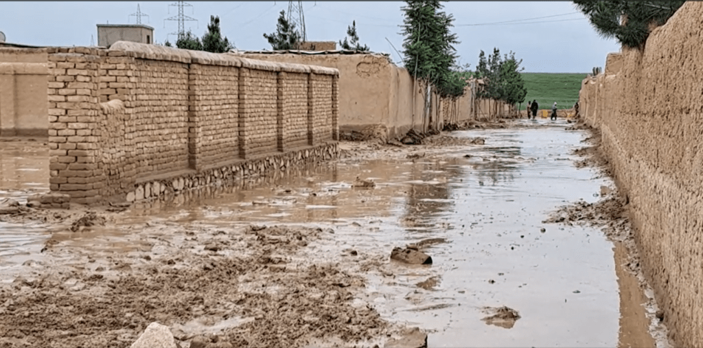 Flood disaster: OIC, IRC, some celebrities announce emergency aid