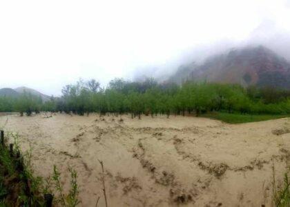 Recent floods damage crops on 1,000 hectares in Sar-i-Pul