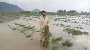 Nangarhar flood-affected farmers seek govt’s help