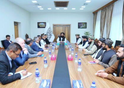 Muttaqi to UN: Accept Afghan rep to WHO