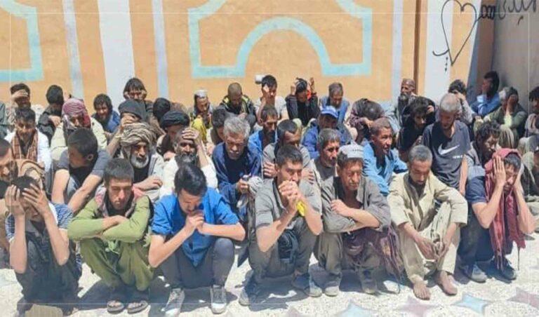 نیمروز کې د روږدو ټولولو او درملنې لړۍ بیا پیل شوه