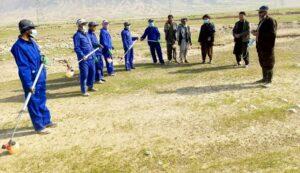 سمنګان کې د ملخانو د له منځه وړلو کمپاین پیل شو