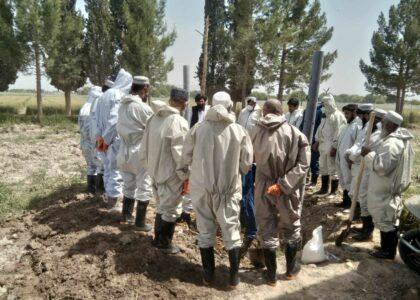 هلمند کې د مرغدارۍ او مالدارۍ فارم‌لرونکو ته د سرې تولید برخه کې روزنه ورکړل شوه