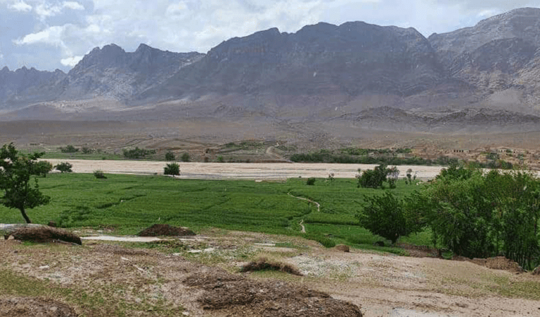 دو باب مکتب پس از ۱۴ سال در گلستان فراه به‌روی دانش‌آموزان بازگشایی شد