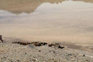 2 Kandahar girls drown in dam, 1 rescued