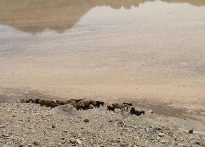2 Kandahar girls drown in dam, 1 rescued