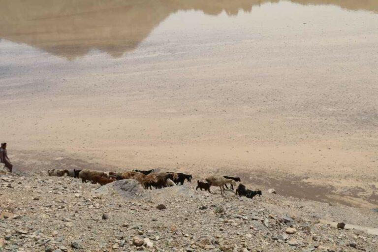2 Kandahar girls drown in dam, 1 rescued