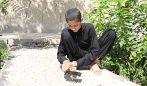 Nangarhar boy invents sun-tracking device for solar panels
