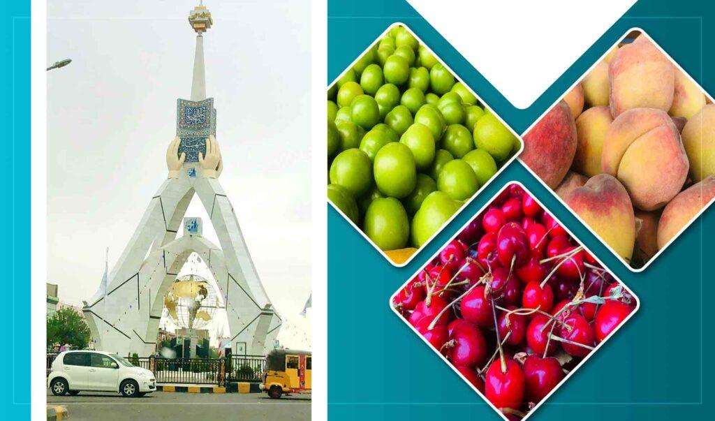 فصل برداشت میوه‌ در هرات؛ باغداران: به‌دلیل کمبود سردخانه‌ها مجبوریم محصولات خود را ارزان بفروشیم