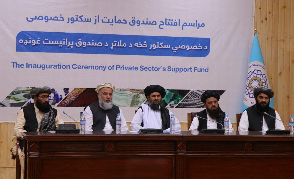 MoCI sets up private sector support fund