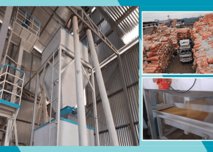 105 new factories established in Helmand in 3 years