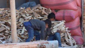 Orphan children in Ghor seek govt’s support to continue education