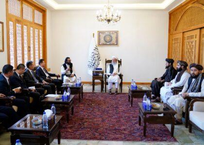 Hanafi urges China to support Afghanistan on the global stage