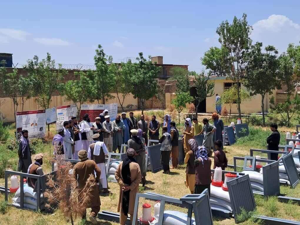 برای بیش از هزار خانواده در ولایت پروان مرغ‌های تخمی و زنبور عسل توزیع گردید