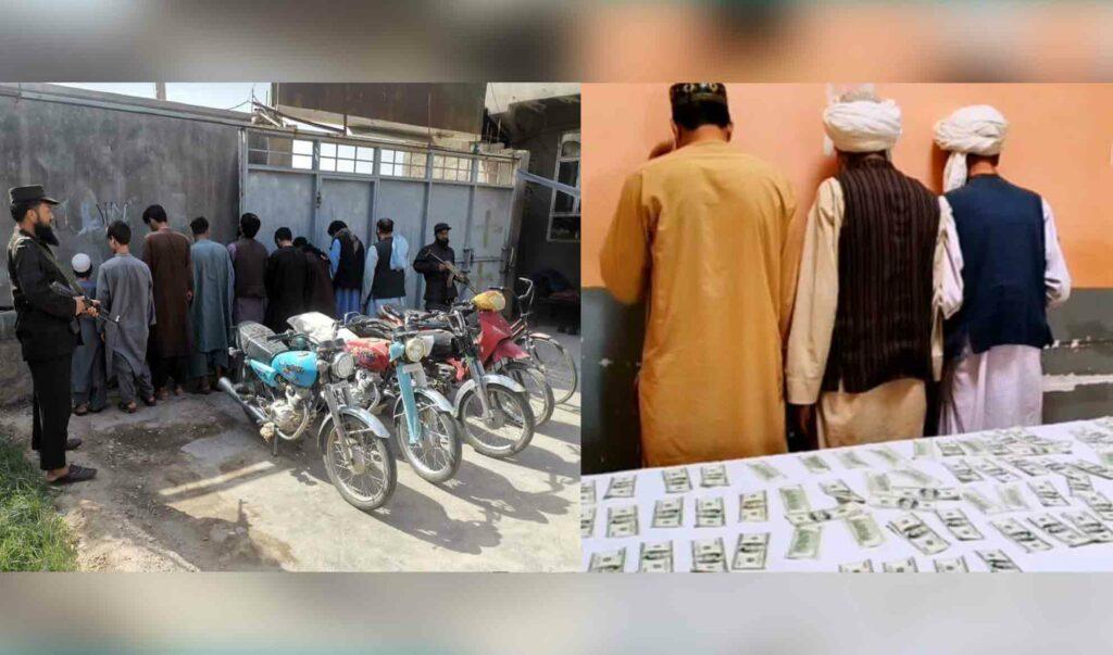 12 alleged criminals arrested in Herat