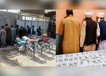 12 alleged criminals arrested in Herat