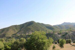 د ځاځي میدان خلک: د قومي تړې له مخې د ځنګلونو ساتنه کوو