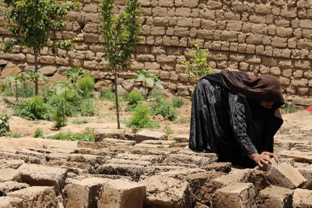 Hard labour inflicts back strain on Ghor women