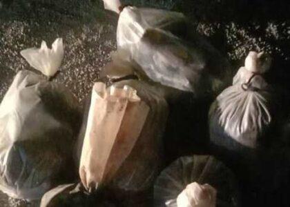 وزارت مالیه: ۵۰۹ کیلوگرام مواد مخدر در کندهار کشف و ضبط شد