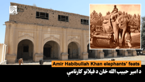 Amir Habibullah Khan elephants’ feats