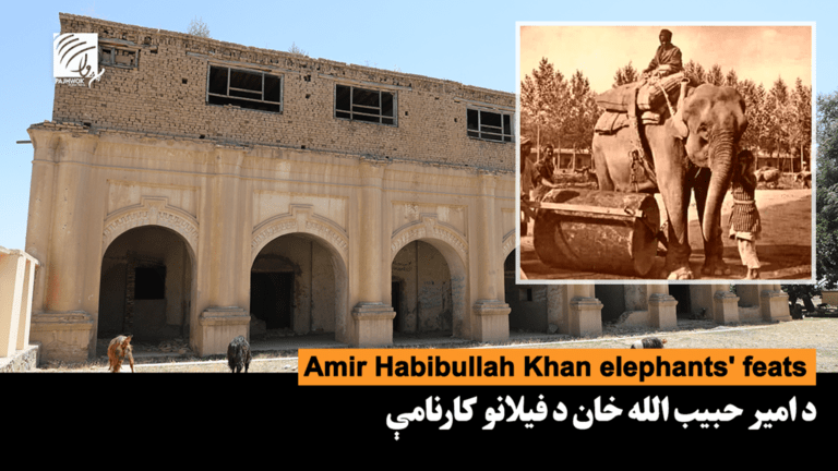 د امیر حبیب الله خان د فیلانو کارنامې