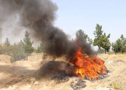 دو کارخانۀ تولید مواد مخدر در ارزگان از بین برده شد