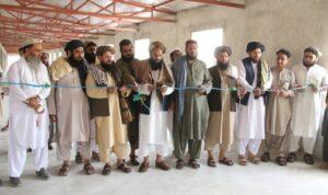 ننګرهار کې د ۱۲۰ ميليونه افغانيو په لګښت د چرګانو روزنې يو فارم جوړ شو